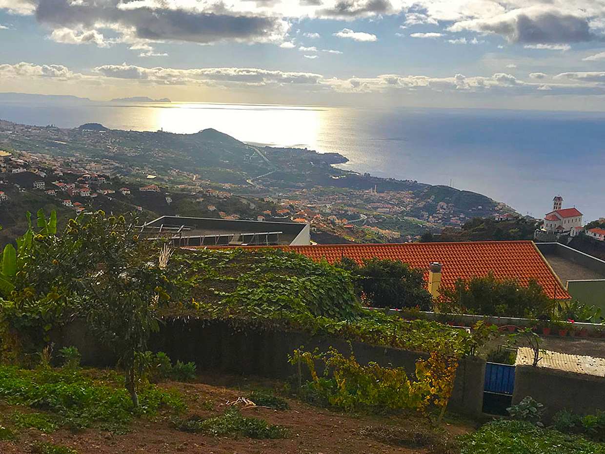 Northern Levada Half-day Walking Tour in Madeira, Portugal, photo 3