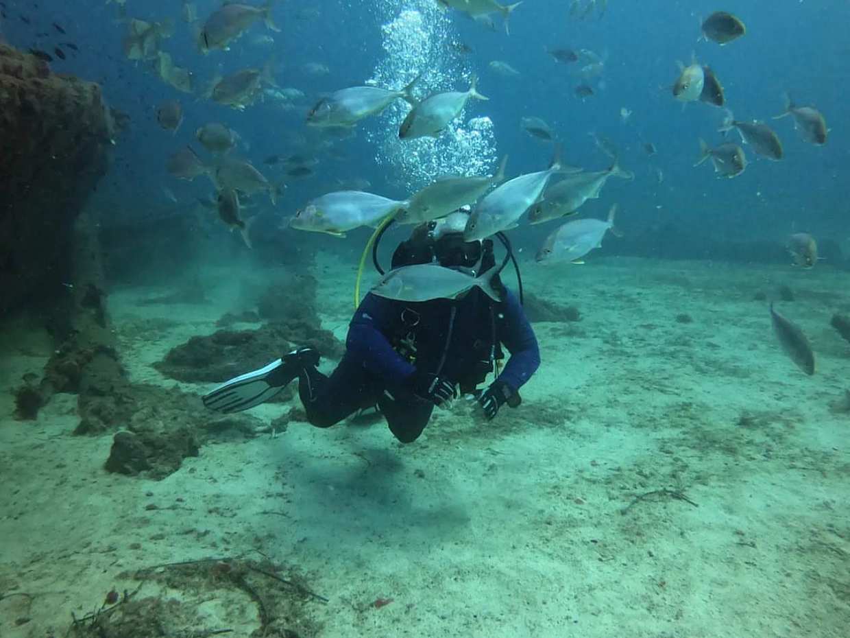 Explore Submerged Treasures: Scuba Diving Experience in Djerba in Tunisia, Djerba Midun, photo 2