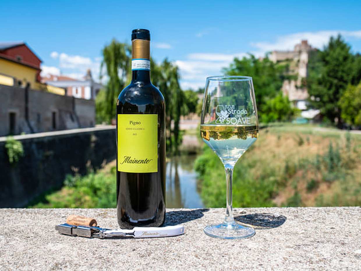 Soave Wine Tasting and Vineyard Tour in the Historical Center, photo 5