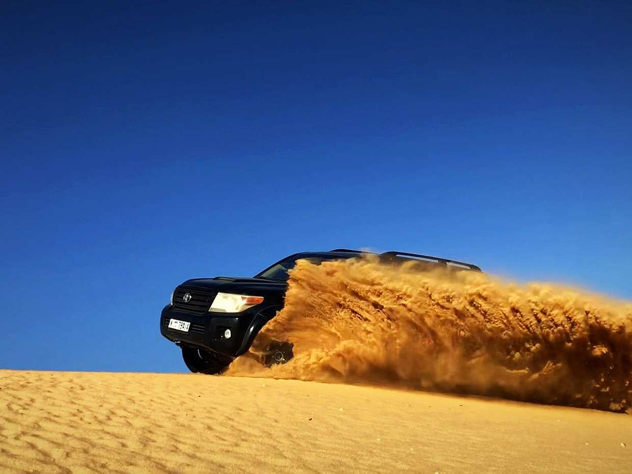 Safari dans le désert au départ de Sharjah, aux Émirats arabes unis
