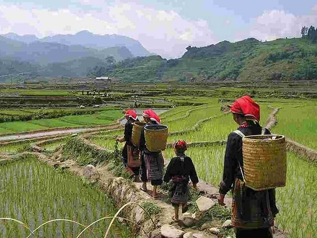 PRIVATE Trekking Sapa Tour 2 Days 1 Night ( Homestay Overnight), Vietnam, photo 3