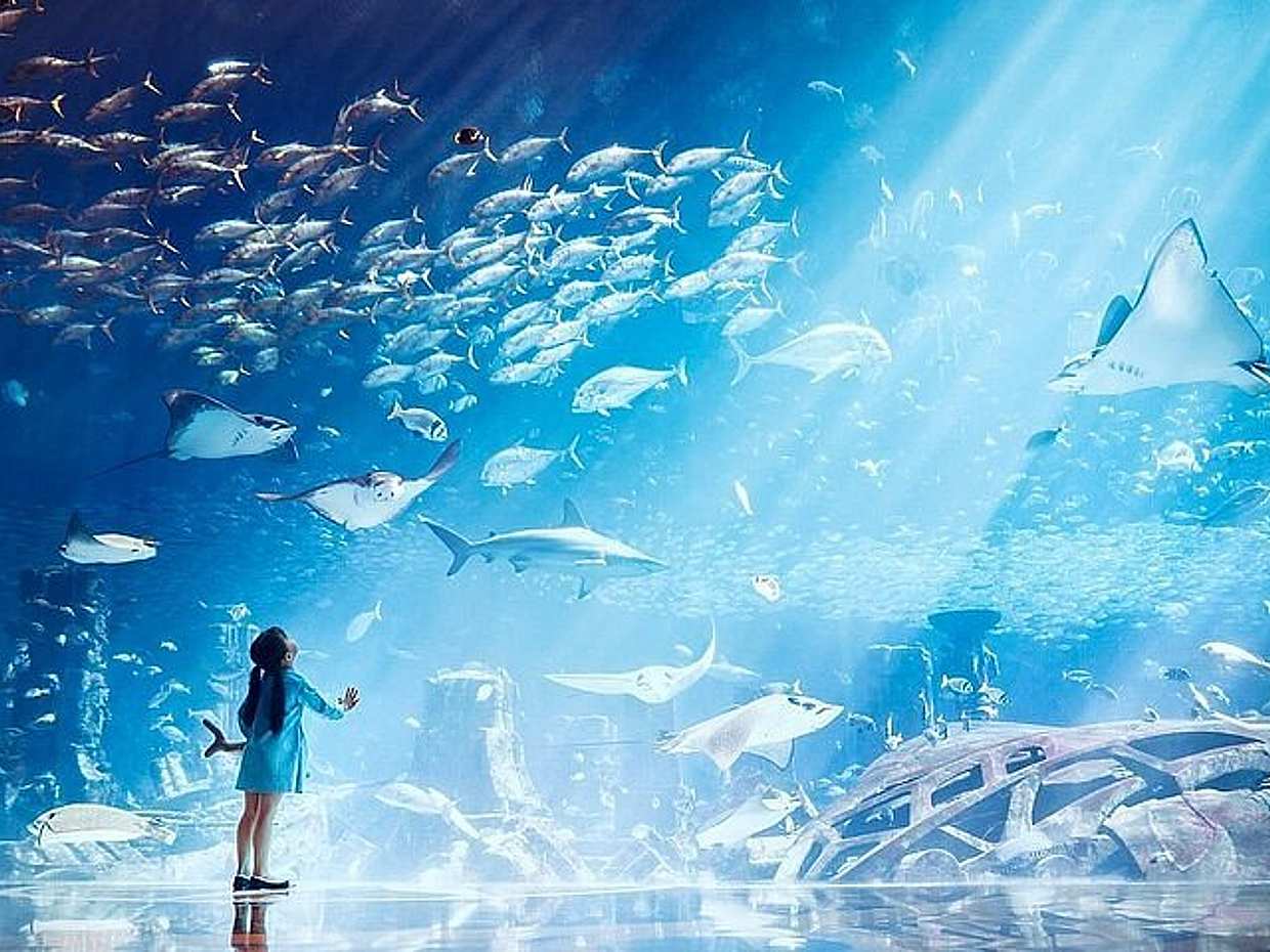 迪拜亚特兰蒂斯水上乐园和失落空间之旅，包含阿联酋私人接送服务，水族馆生物, photo 5