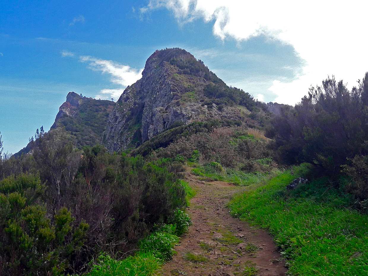 Larano Full-day Walking Tour in Portugal, Funchal, photo 2