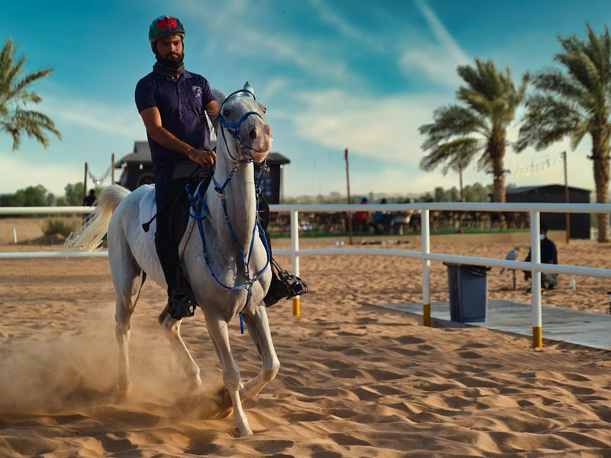 "Luxe luchtballonpakket in de Verenigde Arabische Emiraten, Dubai", photo 5