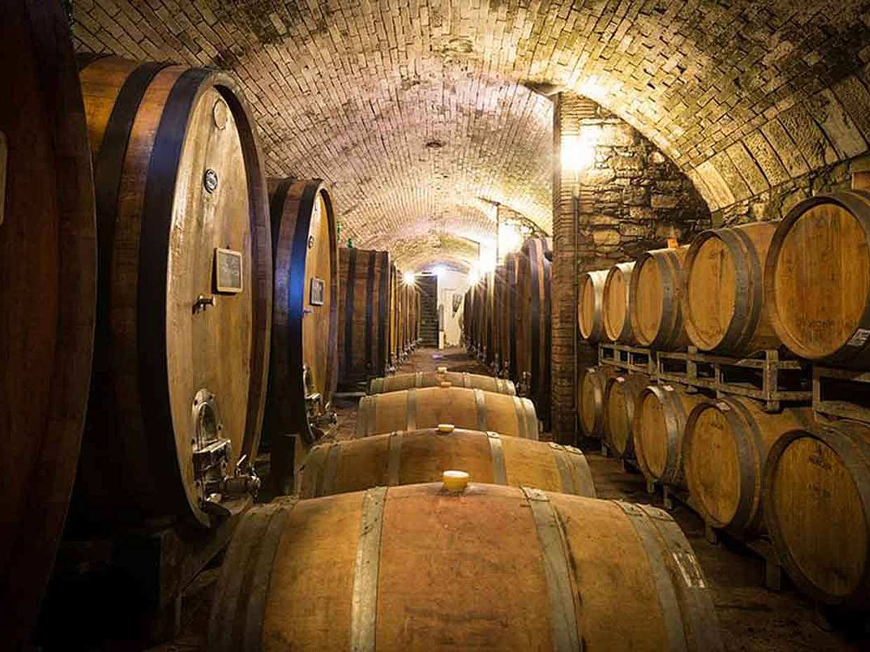 Wine and Food Experience in Tuscany in Italy, Wine Experience in Tuscany, photo 5