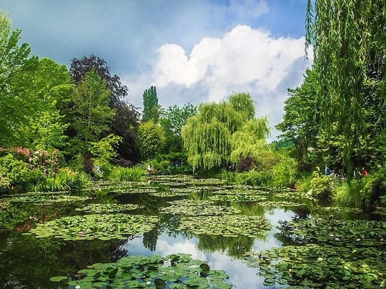 Private day trip from Paris to Giverny with a local driver in France