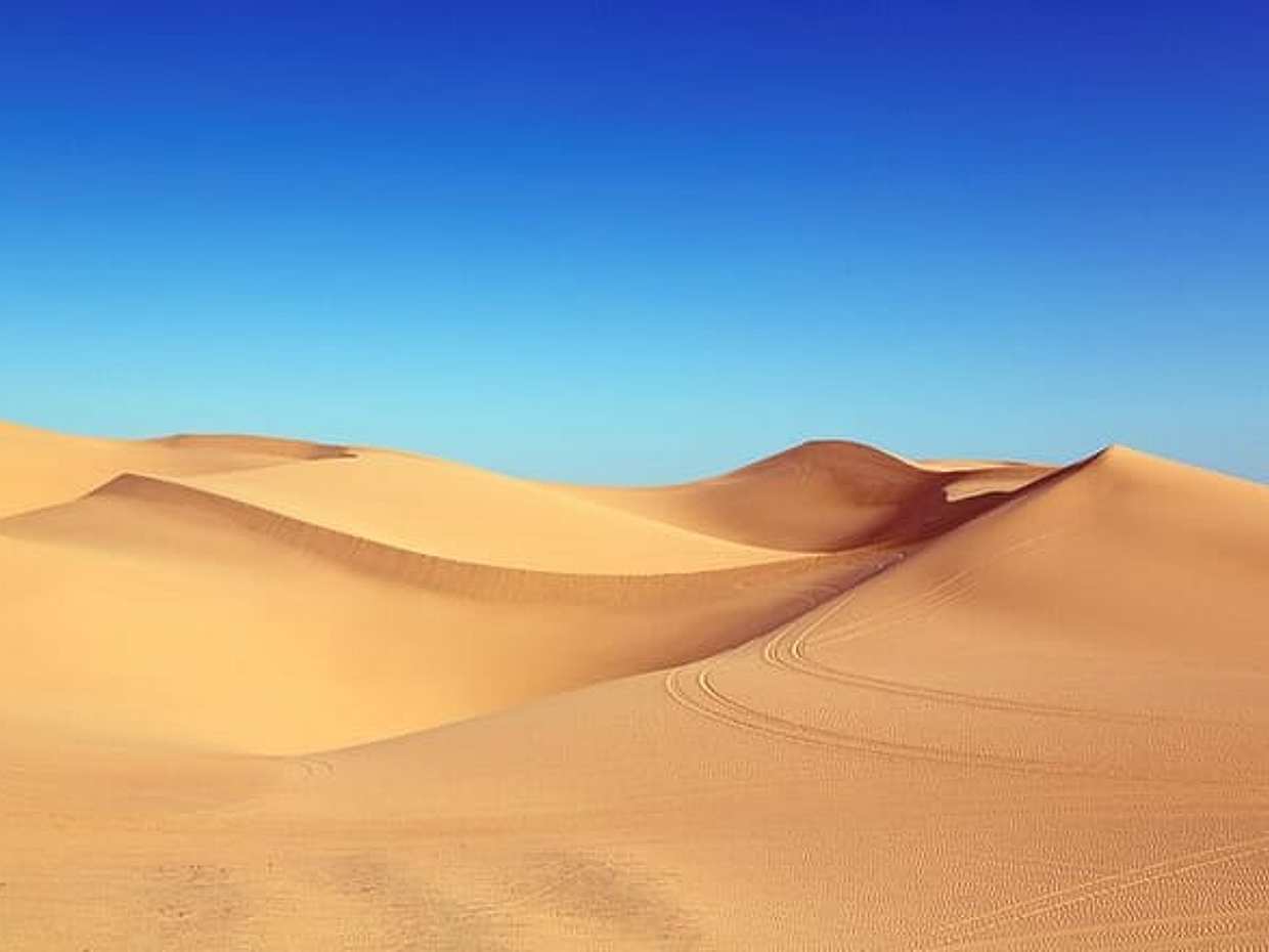 3 Days Tour from Marrakech to The Sahara, photo 3