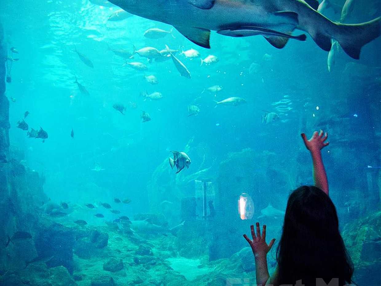 Florya Aquraium in Turkey, Florya Aquarium, photo 3