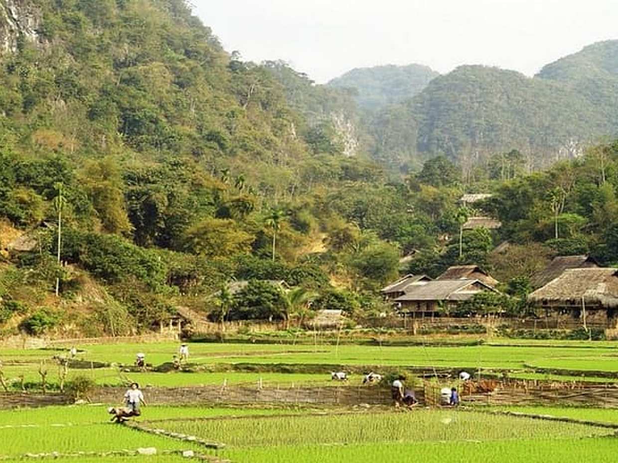 Hanoi - Mai chau Adventure 2 Days 1 Night sleep at bungalow -packaged tour, photo 3