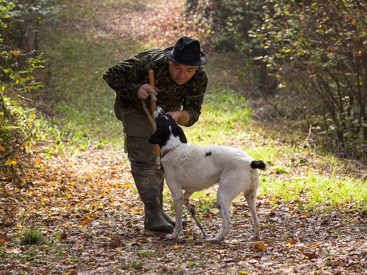 Truffle Hunting Tour in Italy, Truffle hunting