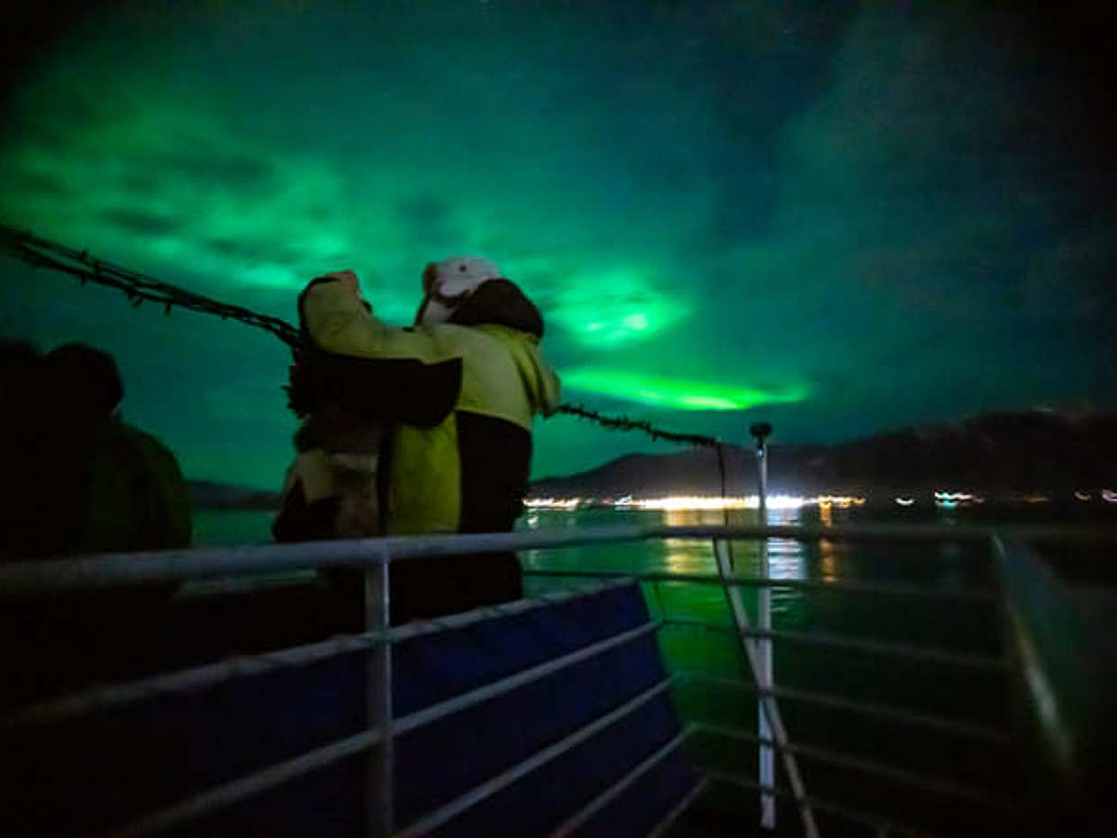 Whale Watching & Northern lights Combo Cruise from Reykjavik, photo 3