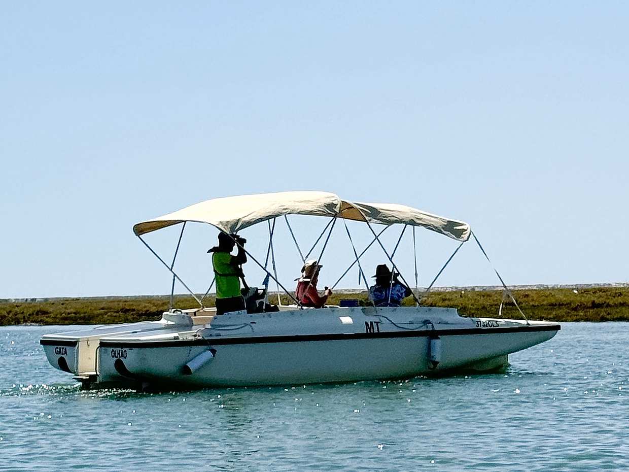 Keşfedin: Faro'nun Güzelliği: 1 Saatlik Ria Formosa Eko Turu – Portekiz'deki Bir Doğa Parkında Güneş Enerjili Huzur
, photo 3
