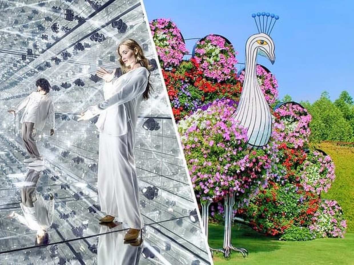 "Dubai Combo: AYA Universe en Dubai Miracle Garden Tickets in Verenigde Arabische Emiraten"