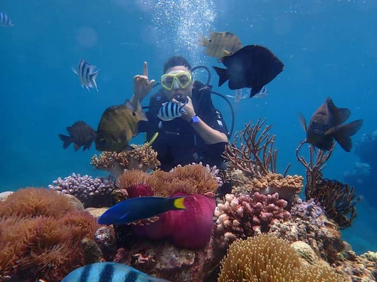Fantastic Snorkeling - Nha Trang