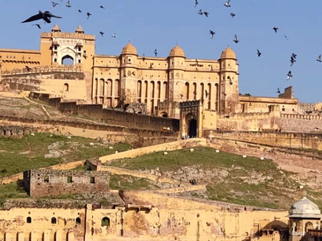 5-Day Agra, Jaipur & Ranthambore Tour, photo 5
