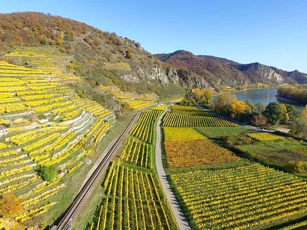 Private Tour from Vienna to Melk and Dürnstein in Austria, photo 5