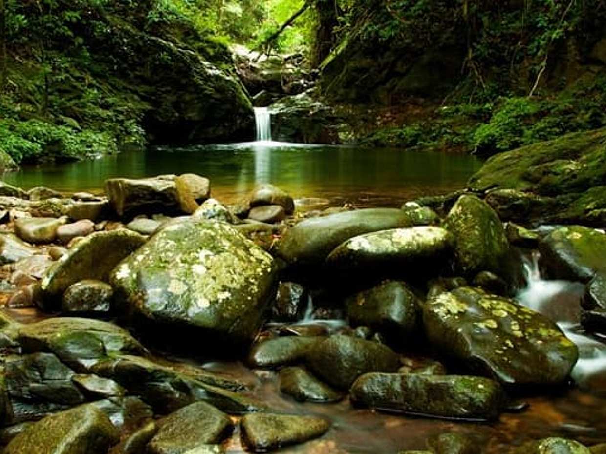 Bach Ma National Park, photo 4