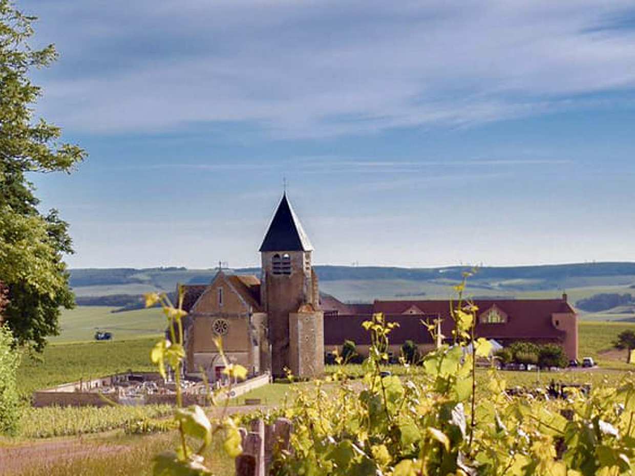 Private Burgundy 3 Domaines Chateau Pommard Chablis 15 Wines Trip from Paris.