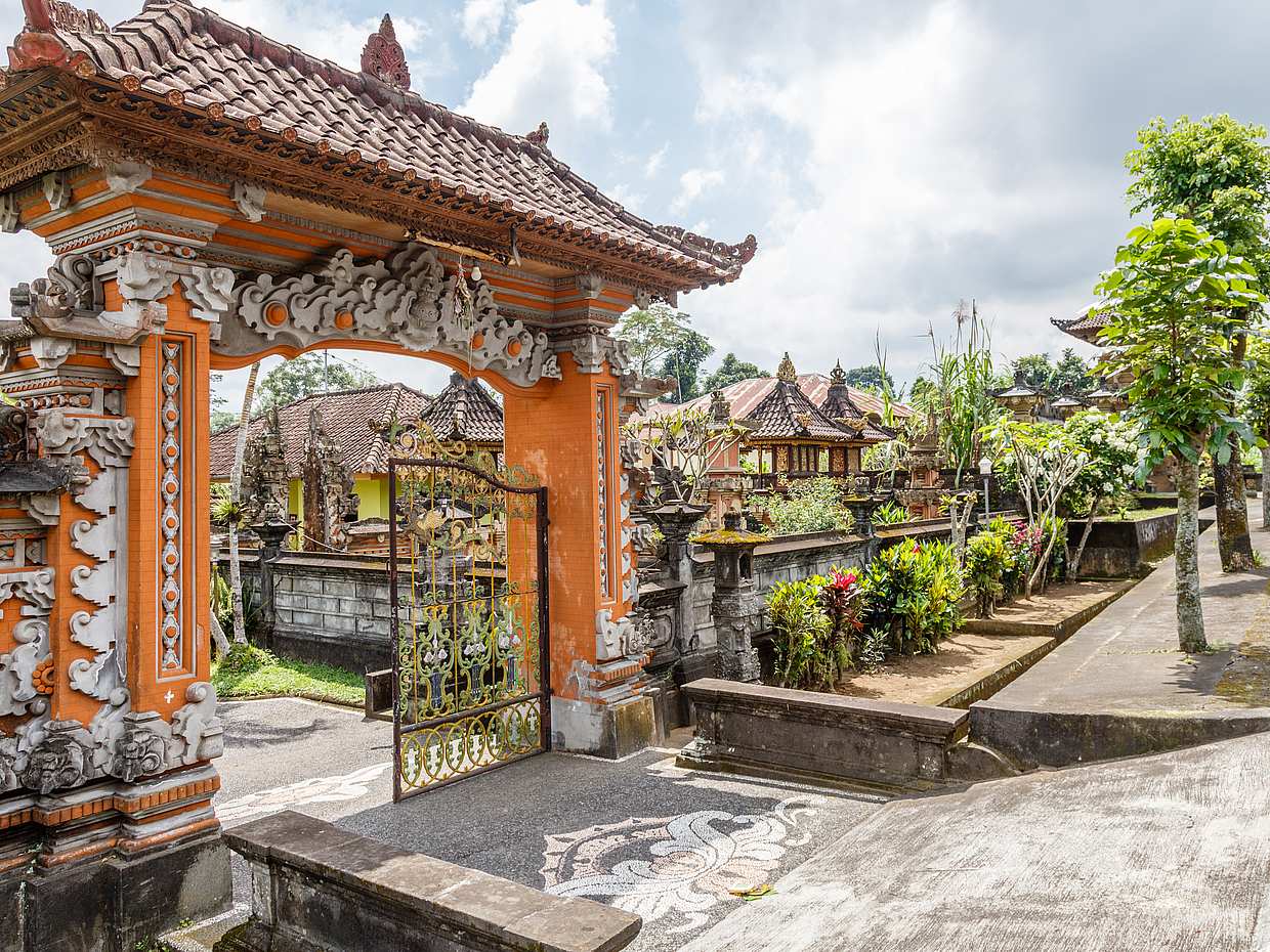Bali Village Bike Tour, photo 3