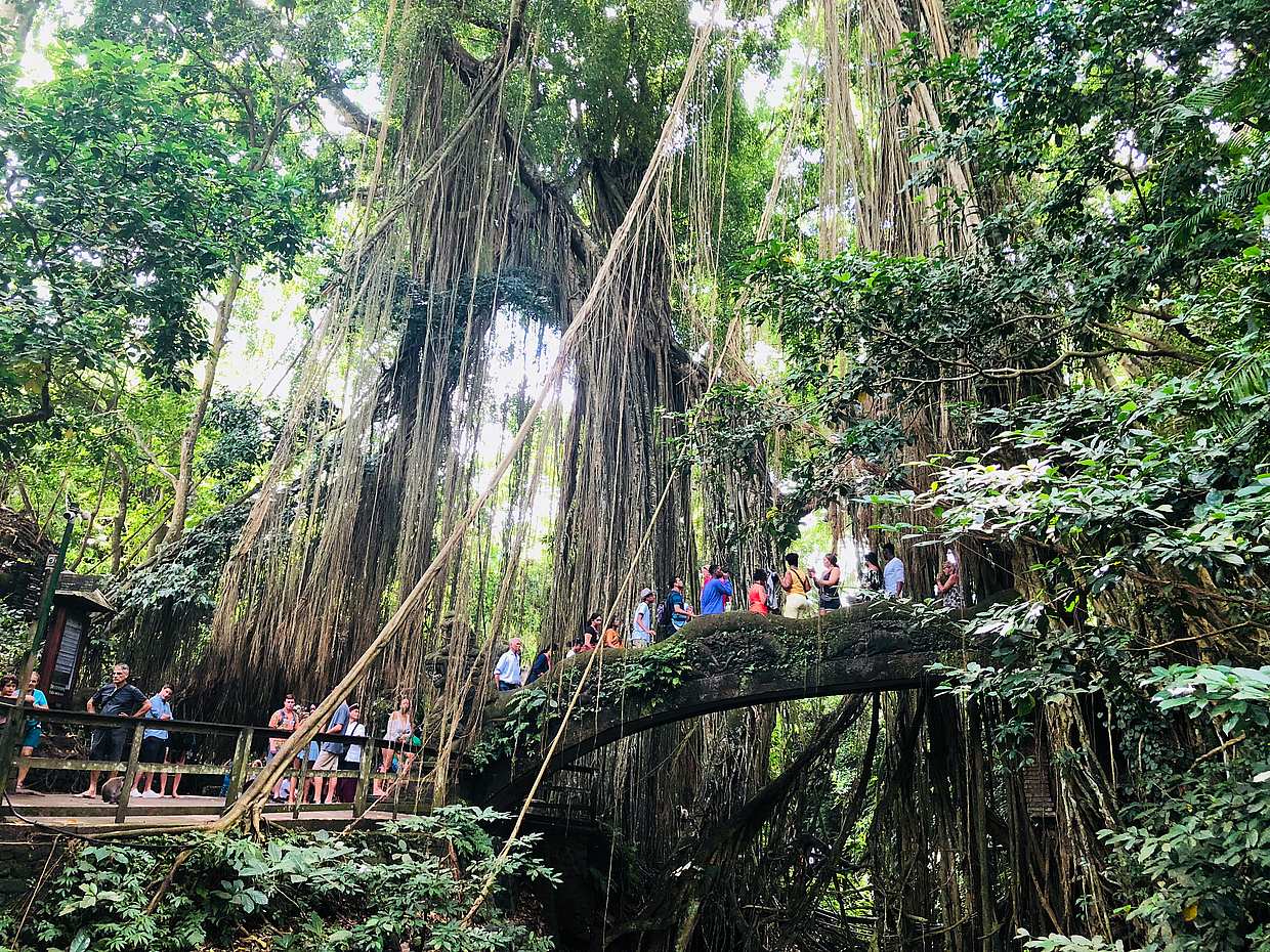 Experience Ubud: From Traditional Crafts & Monkey Forest to Ancient Temples & Jungle Waterfalls in Indonesia, Bali, photo 4