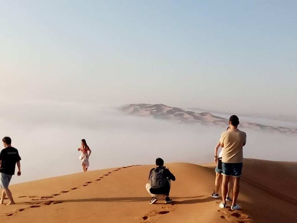 Safari privé matinal dans le désert et sandboard aux Émirats arabes unis, Dubaï, photo 3