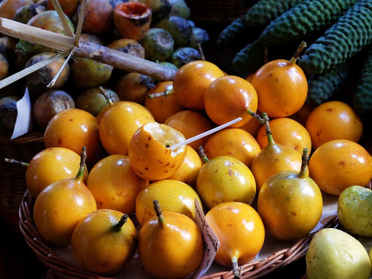 Visite gastronomique et œnologique de Madère au Portugal, Funchal, photo 5