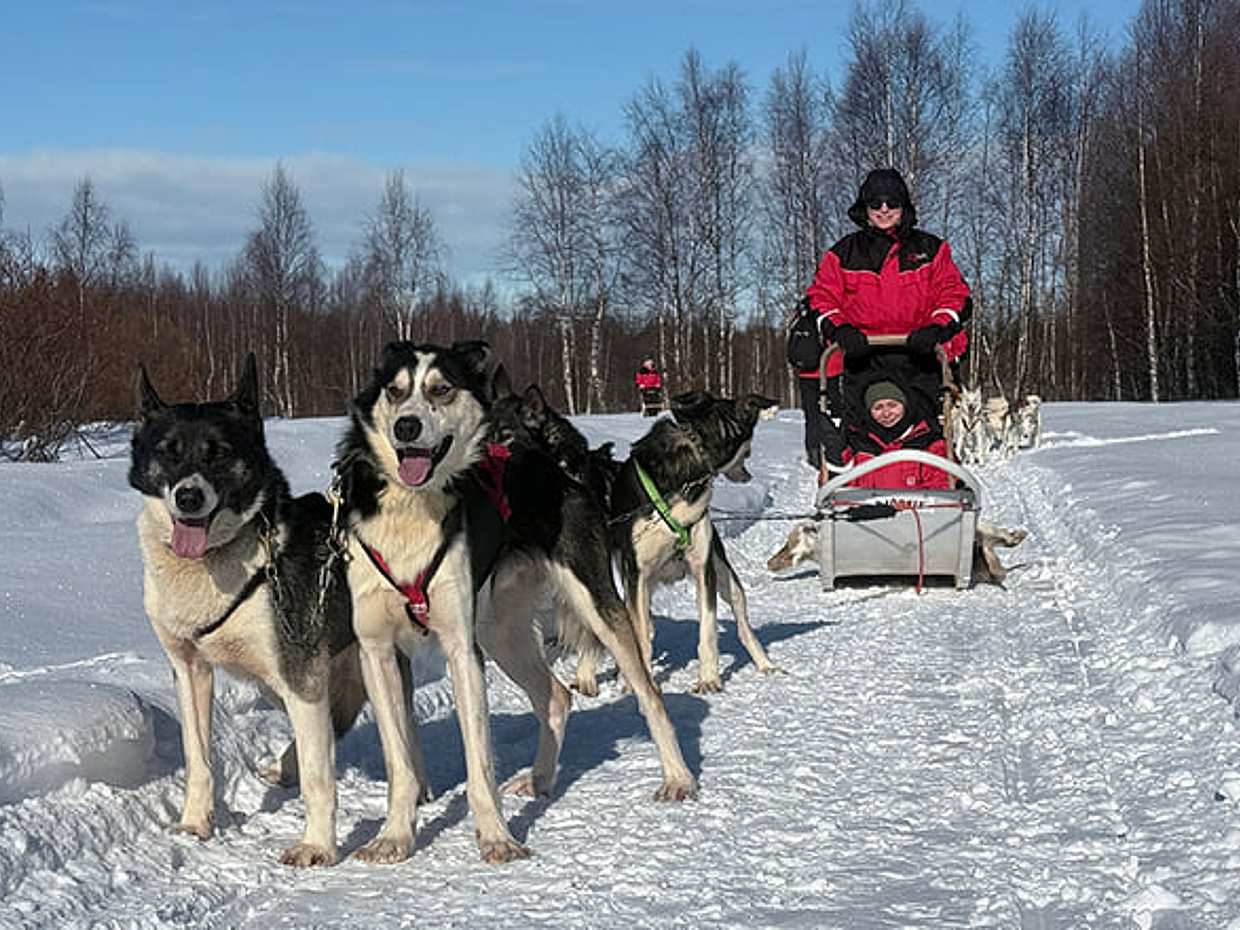 Husky Safari 5-6 km Self-Drive in a Hidden Forest Kennel, Levi, photo 2