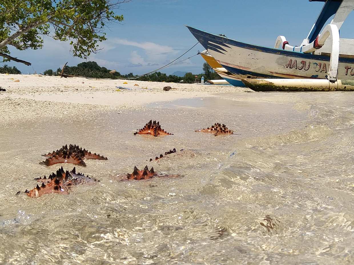 Nature, Exploration, Snorkeling, Stress Relief in Indonesia, Lombok, photo 5