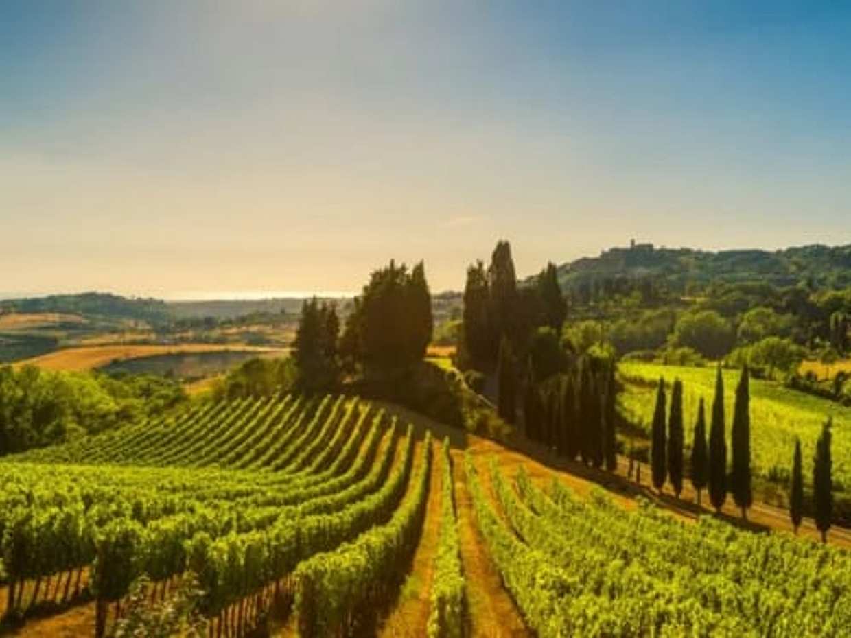 La Madama: A Journey through Piedmont's Tradition and Wines, photo 4