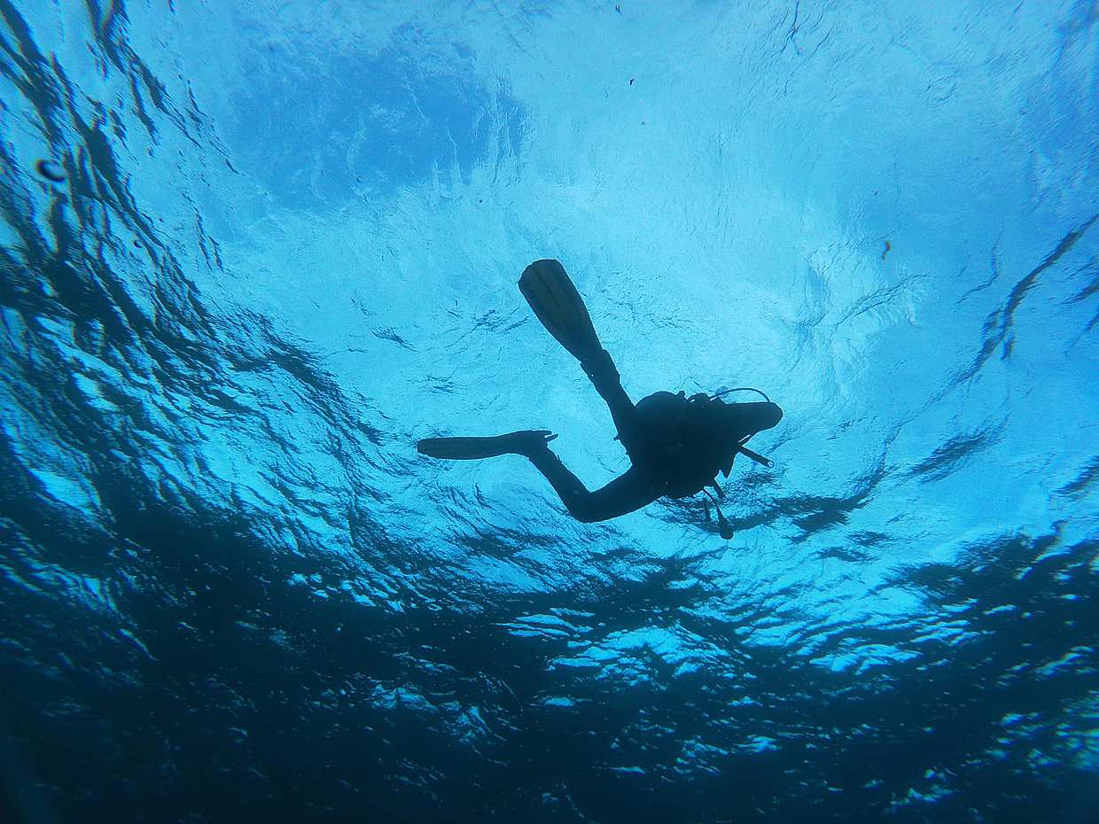 Azores: Diving in Faial Island in Portugal, photo 2