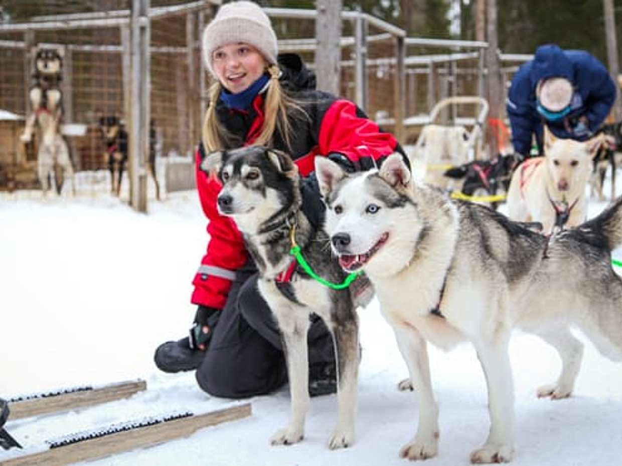 Husky Safari 10 km Self-Drive, Levi, photo 3