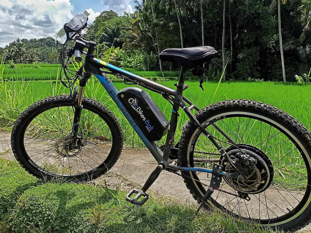 E-bike Ubud to Tirta Empul Trip, photo 2