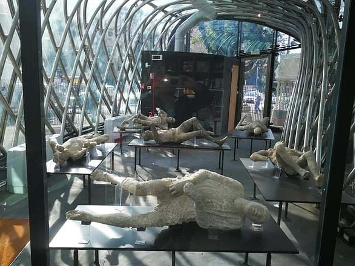 Group tour, Pompeii and wine & food tasting winery Cantina del Vesuvio (6 hours), photo 3