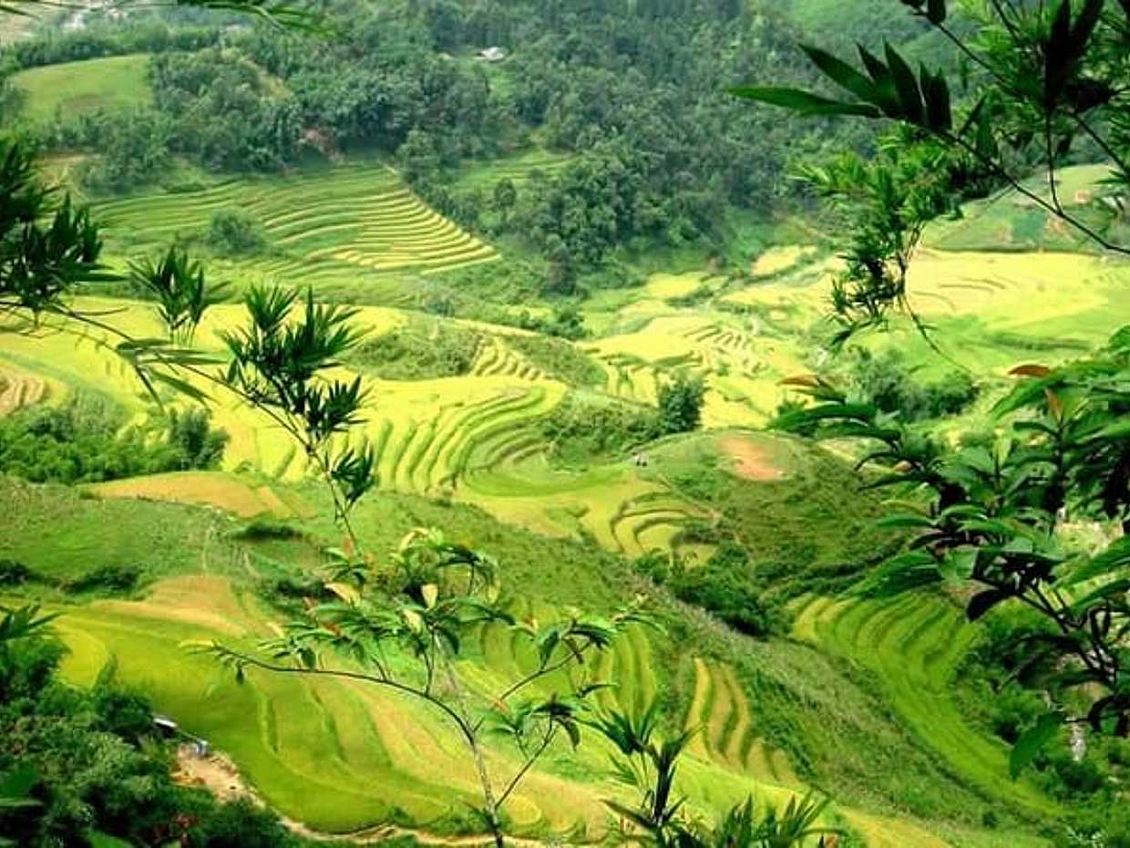 Sapa & Halong Bay Tour – 4 Days/3Nights Package, Vietnam, photo 2