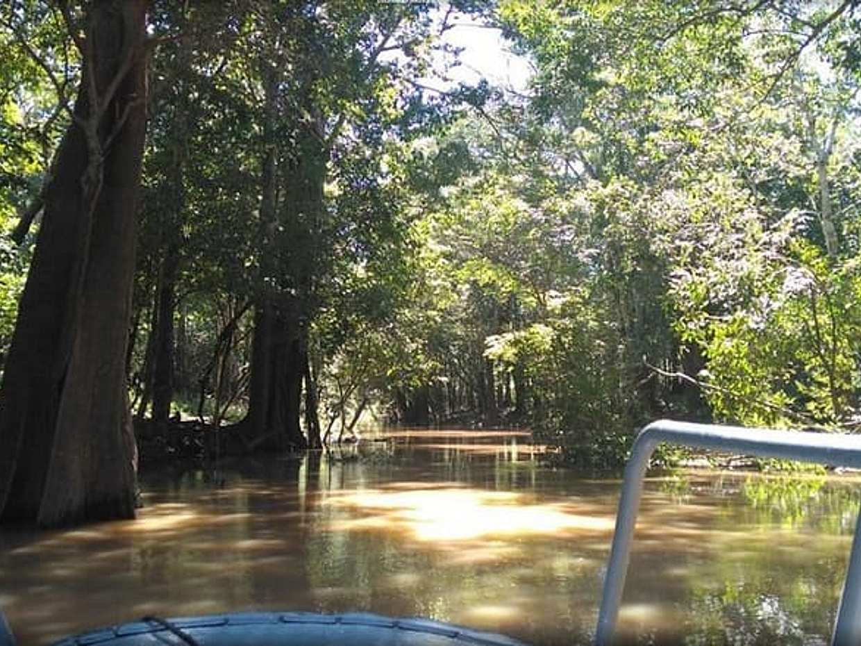 4 Days Amazon Jungle Adventure Tour