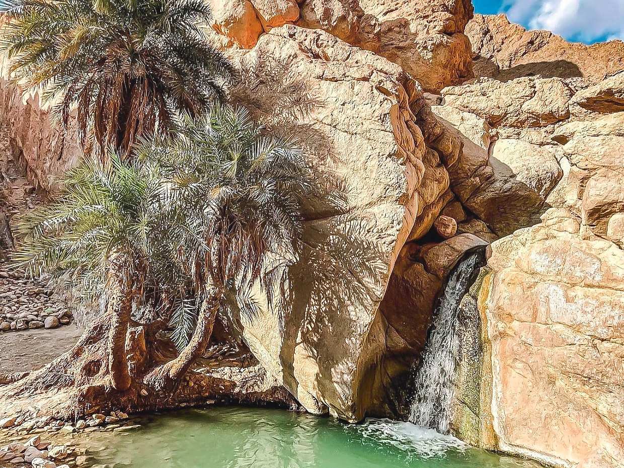 Oases, Adventure & Star Wars: An Epic Journey from Djerba to Tozeur in Tunisia, Djerba Midun