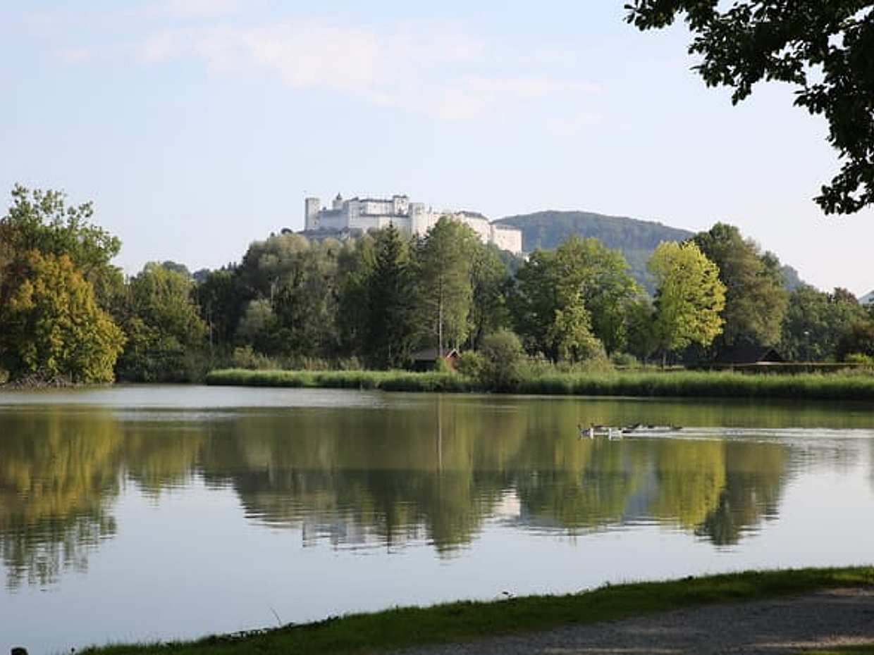 1h Mozart City Tour incl. Mozart Museum - Private Tour