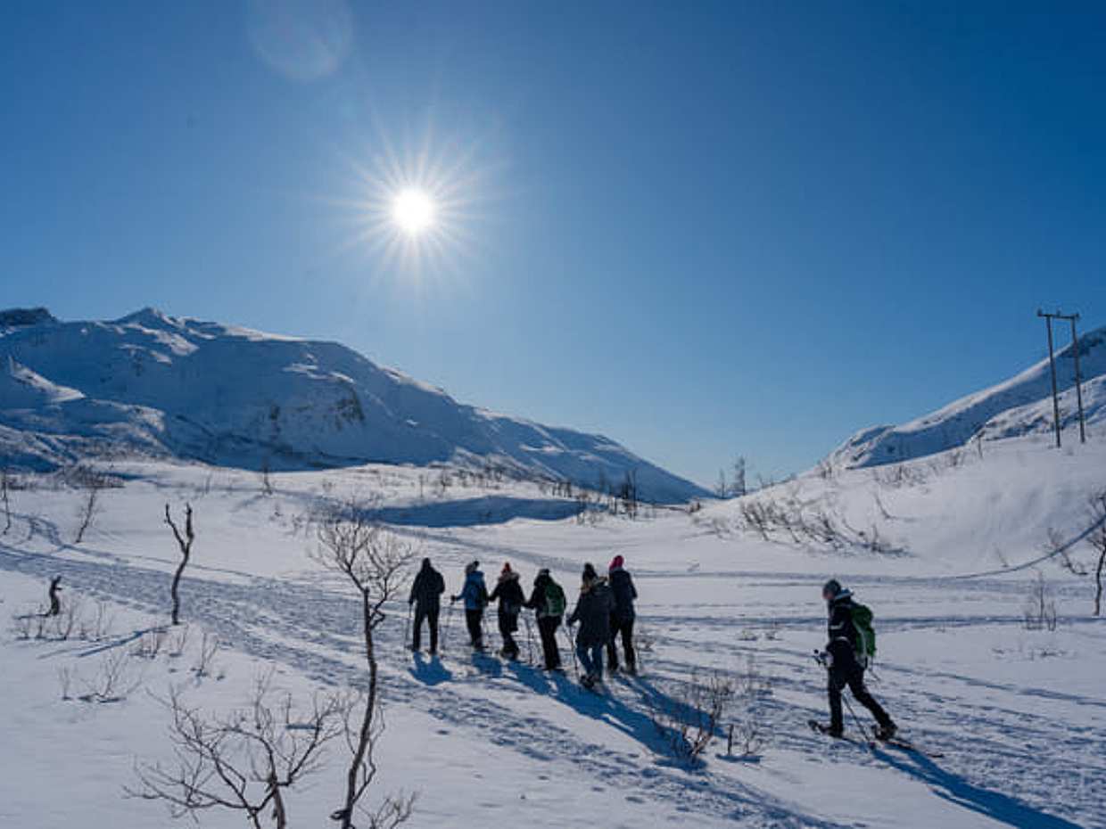 Tromsø: Snowshoe Hike with Local Guides, photo 5