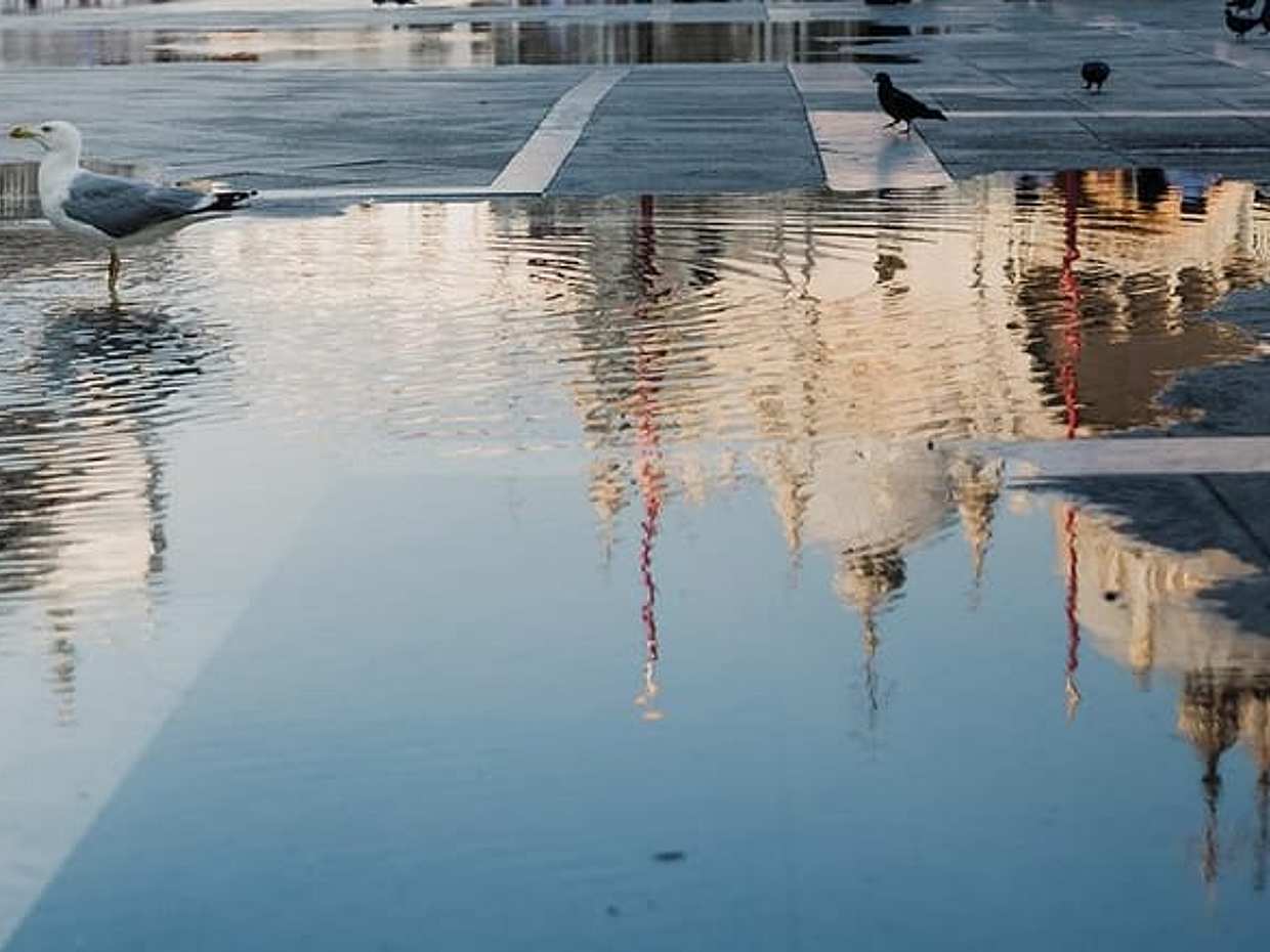 Venice Highlights : City tour and Grand Canal boat Experience