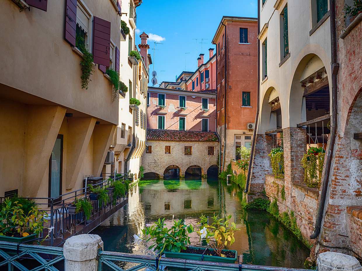 Venetian Art and Architecture Private Walking Tour in Venice, Italy, photo 3