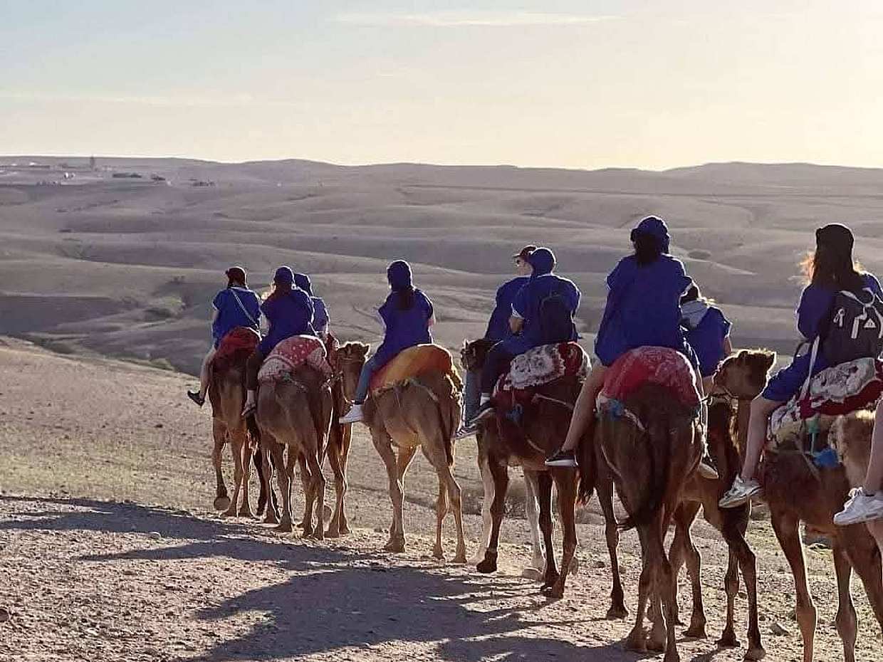 Agafay Woestijn Dagtocht: Quad, Kameelrit & Dinershow in Marokko, Marrakesh
