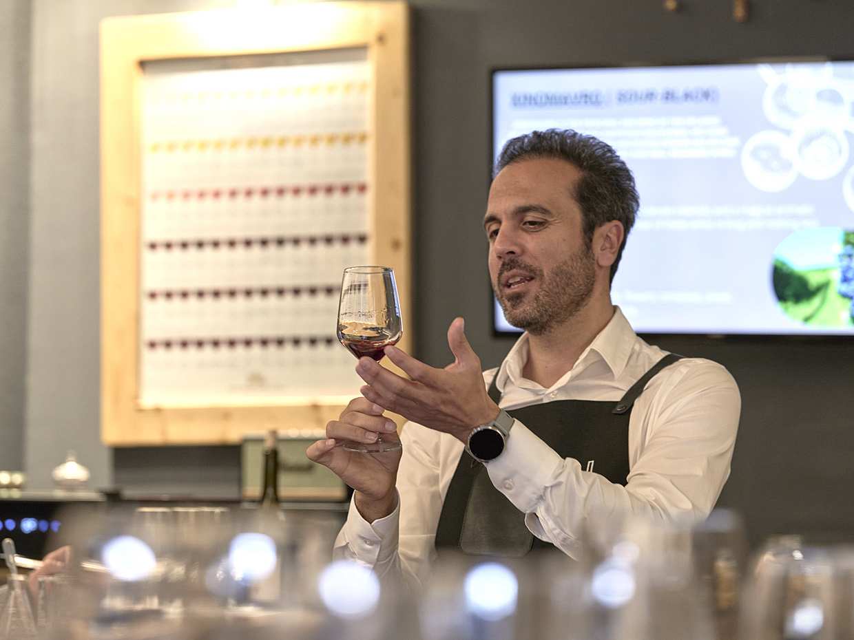 Best Rated Acropolis Wine Tasting in Greece, photo 2