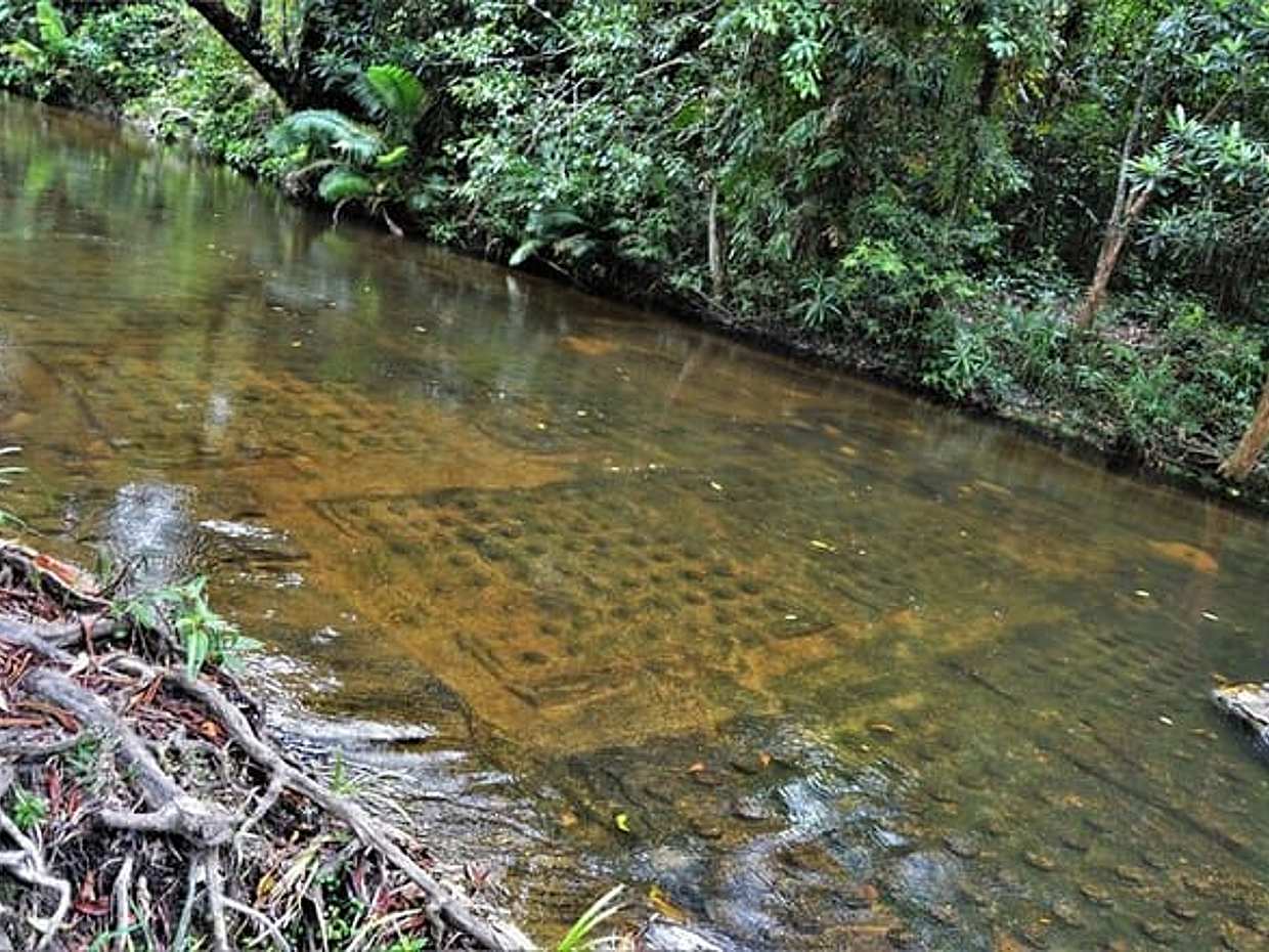 Celodenní prohlídka vodopádu Kulen ze Siem Reapu v Kambodži, Krong Siem Reap, photo 4