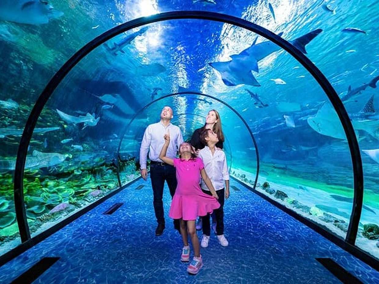 De Nationale Aquarium Abu Dhabi in de Verenigde Arabische Emiraten, أبو ظبي