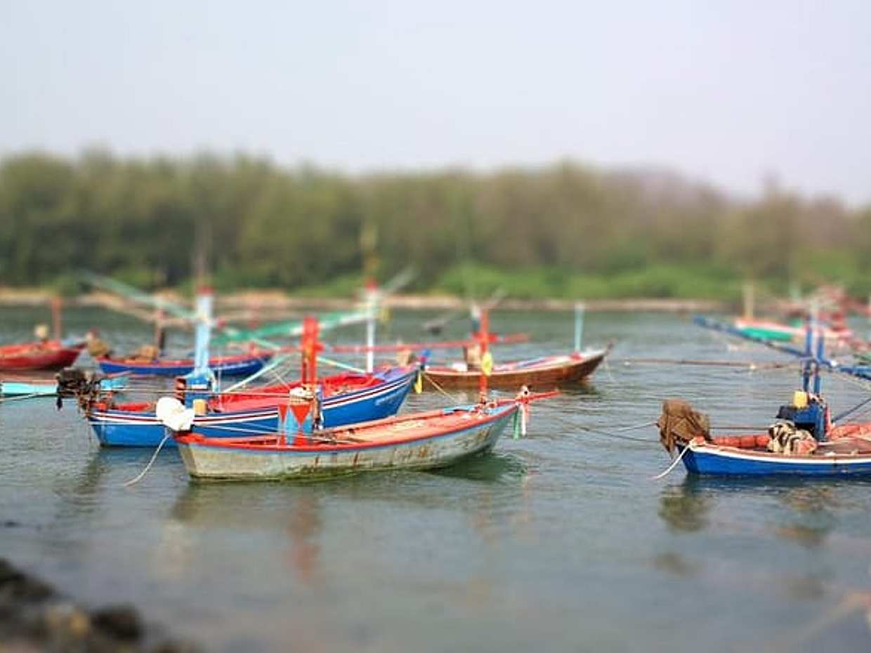 Scenic River Trip on the Pranburi River, photo 4