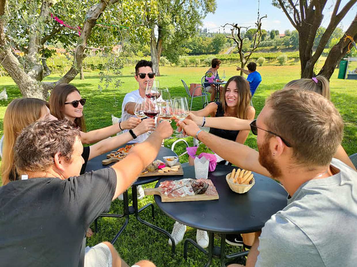 Wine Tasting with local food in Lazise countryside