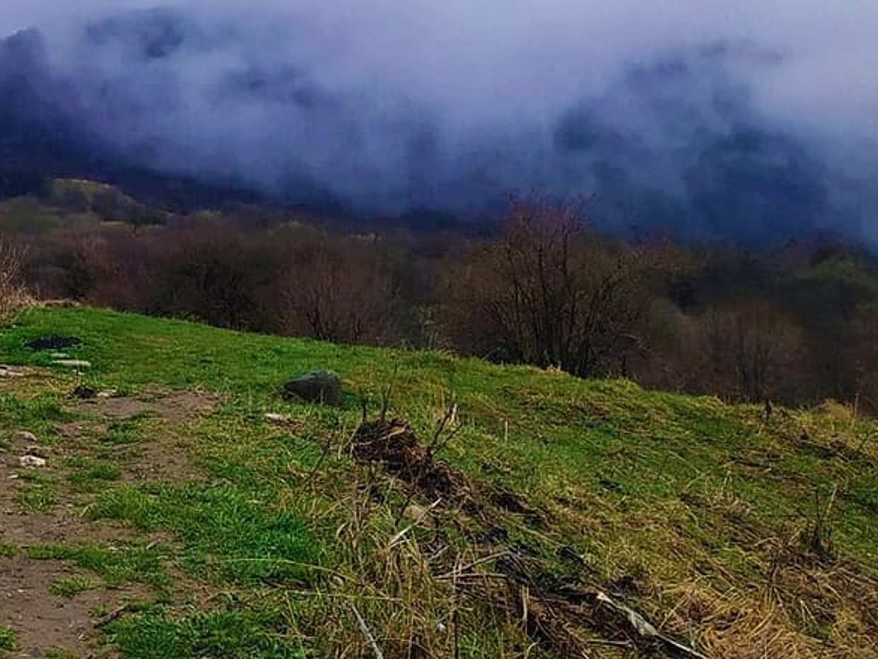 Vashlovani Park Tour: 3 Days of Wilderness & Adventure in Georgia, Tbilisi, photo 2