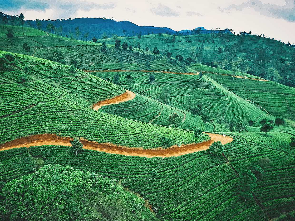 Mélange de bouddhisme et d'hindouisme au Sri Lanka, Kandy., photo 2