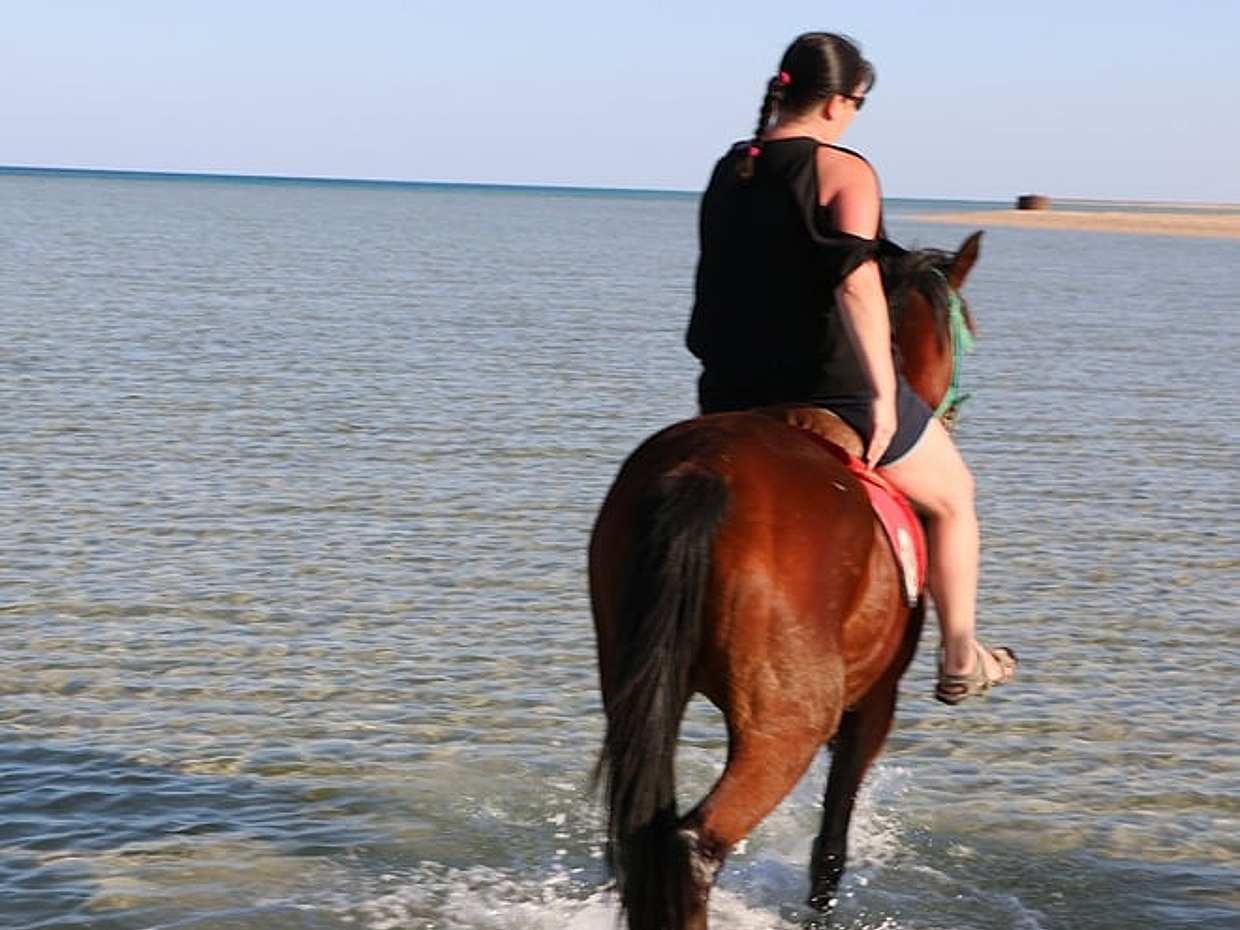 "Avventura a cavallo, deserto e Mar Rosso a Hurghada in Egitto", photo 2