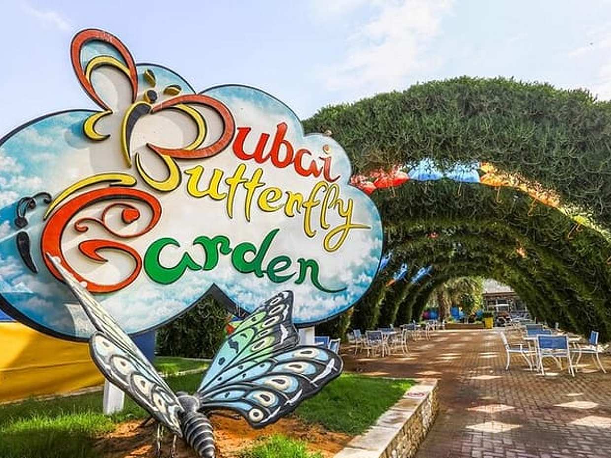 Dubai Butterfly Garden Admission Ticket